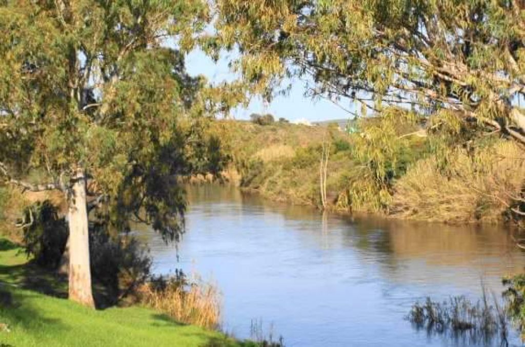 Blue Gum Cottages Bonnievale Western Cape Weekend Escapes