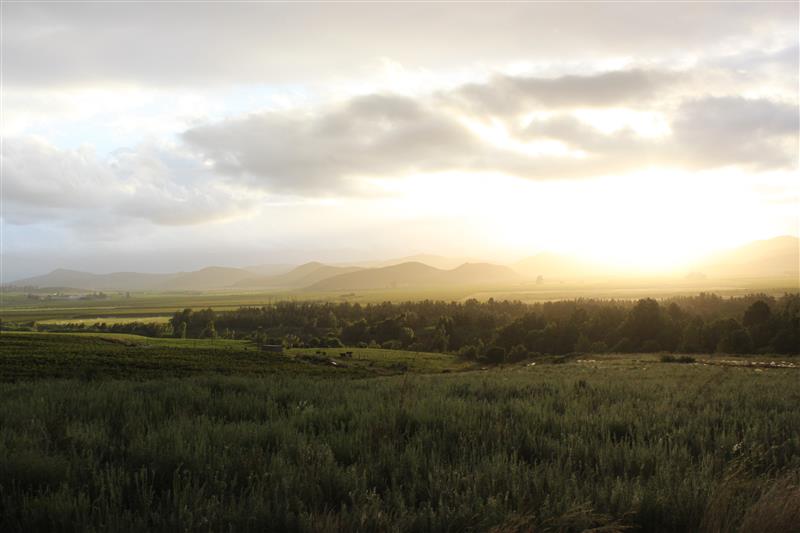 Bonnievale Western Cape Self Catering Accommodation Budget Getaways